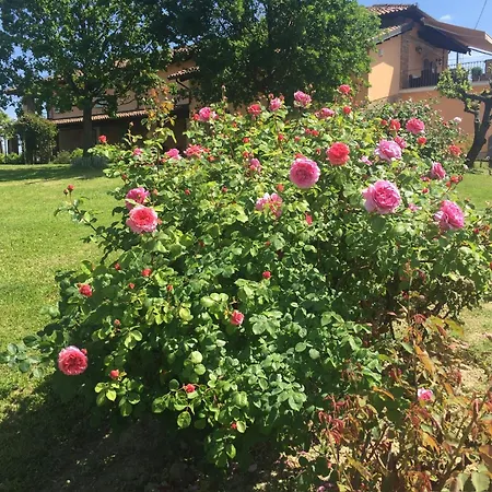 Antica Cascina * Castiglione Tinella